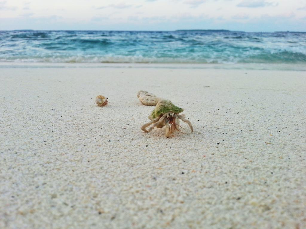 Lvis Blancura Hotel Dharavandhoo Buitenkant foto
