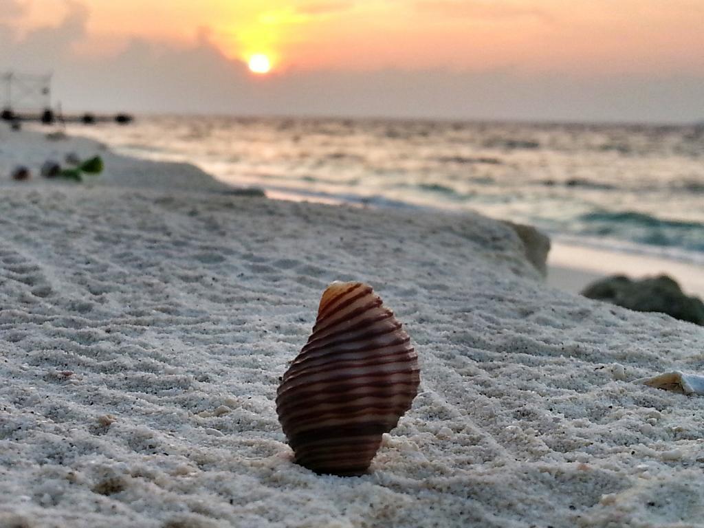 Lvis Blancura Hotel Dharavandhoo Buitenkant foto