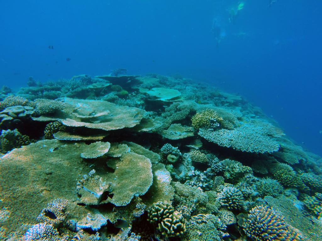 Lvis Blancura Hotel Dharavandhoo Buitenkant foto